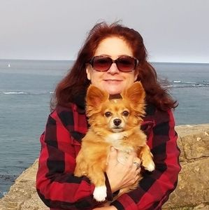 Meet your Posher, Wende